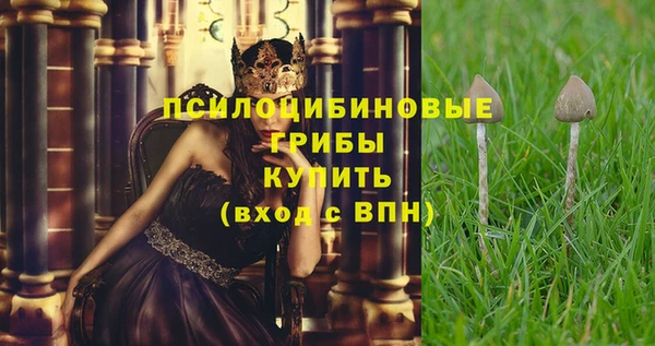 гидропоника Мегион