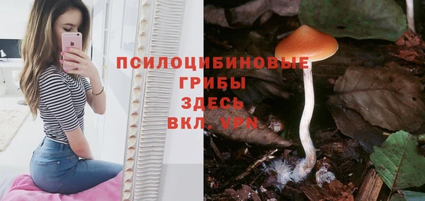гидропоника Мегион